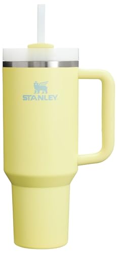 Stanley Quencher H2.0 FlowState Stainless Steel Vacuum Insulated Tumbler with Lid and Straw for Water, Iced Tea or Coffee, Smoothie and More, Fuchsia, 40oz